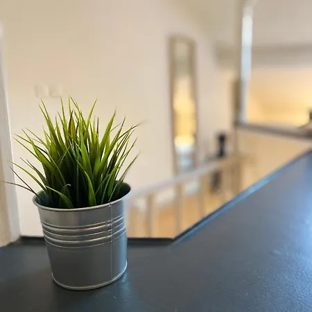 Les Cosy De - Le Nid Douillet - 4* Daire *