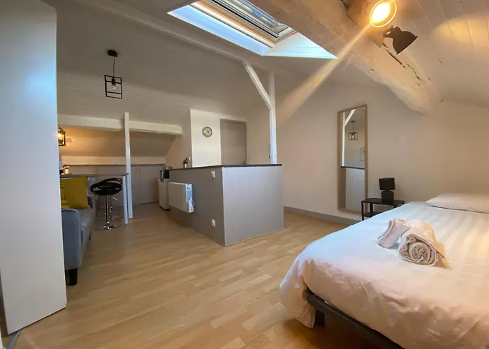 Les Cosy De - Le Nid Douillet - 4* Appartement Nancy