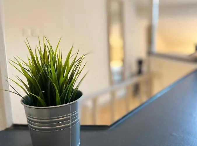 Les Cosy De - Le Nid Douillet - 4* Appartement *